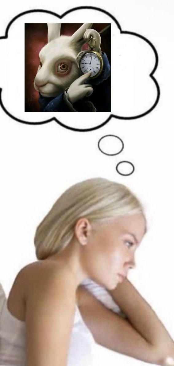 هارلي كوين الحقيقه (@realharley10) on Twitter photo 