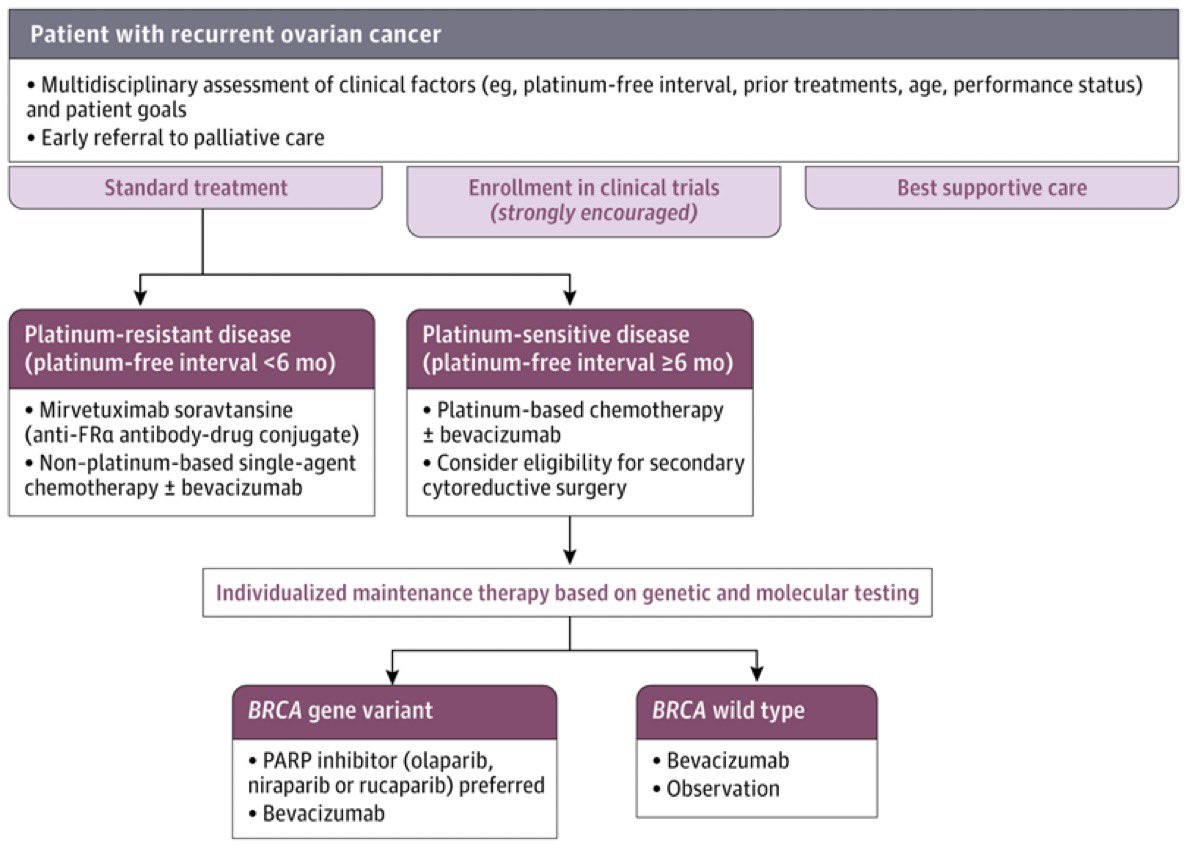 imedverse's tweet image. Ovarian Cancer: A Review

jamanetwork.com/journals/jama/…

@JAMA_current #MedEd #MedX #ovariancancer