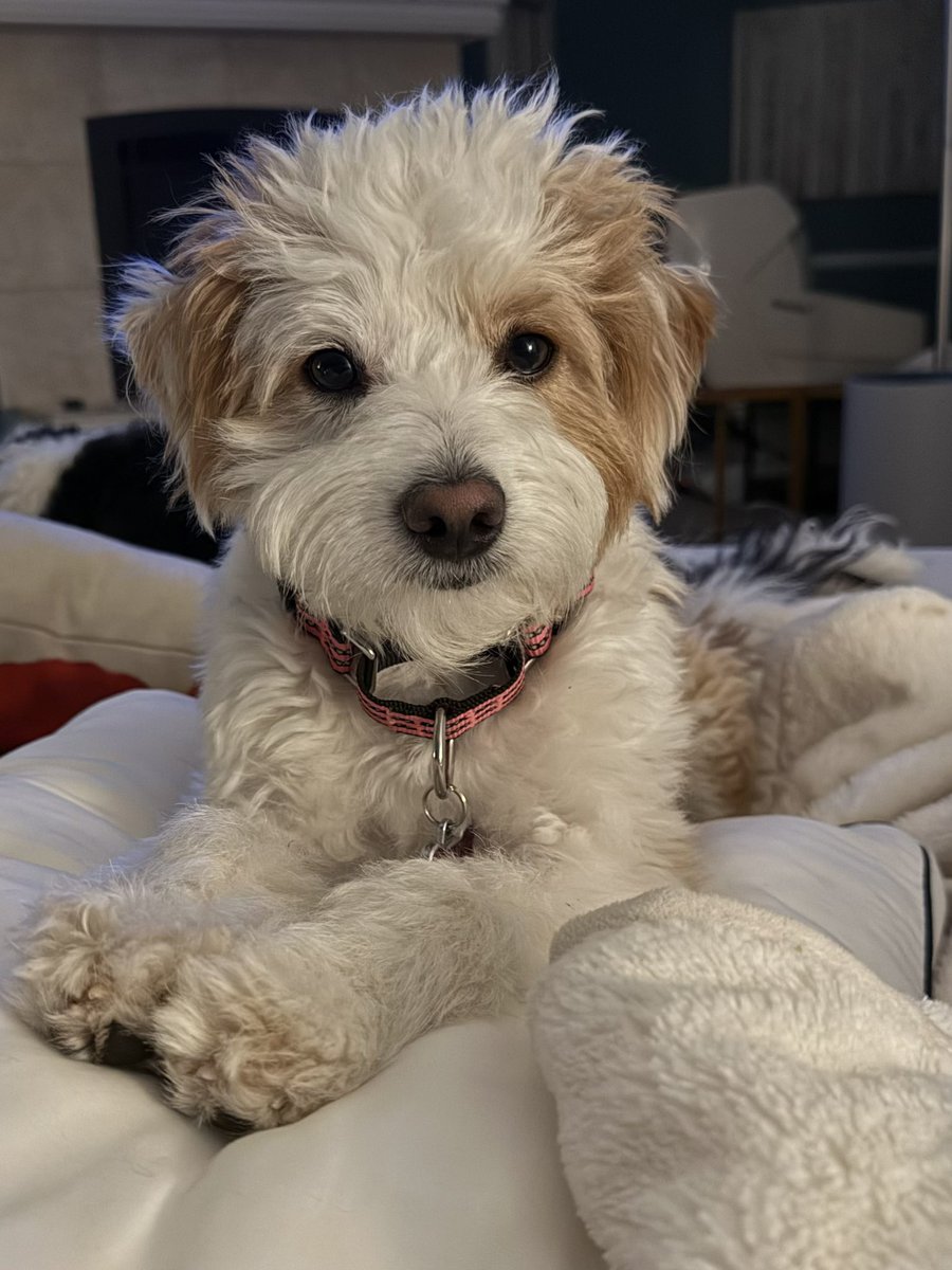 RexSecurity's tweet image. It’s Monday night