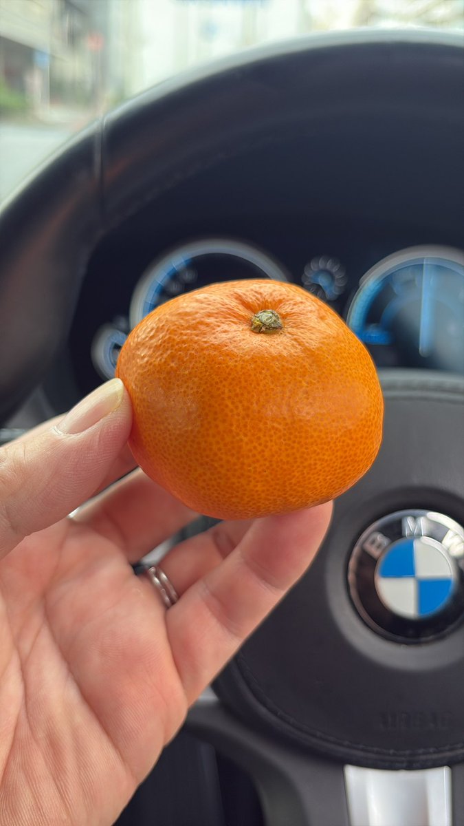 ryosuke_samurai's tweet image. おはようございます。
朝からのんびり豚汁の仕込みをしていたら、保育園の時間がギリギリになった事を反省しつつ、夕飯に思いを馳せております。
今日は現場3件と見積もり作成。
車内で朝食を済ませて現場に向かっています。
今日もご安全に、最高の1日を。
押忍🥋