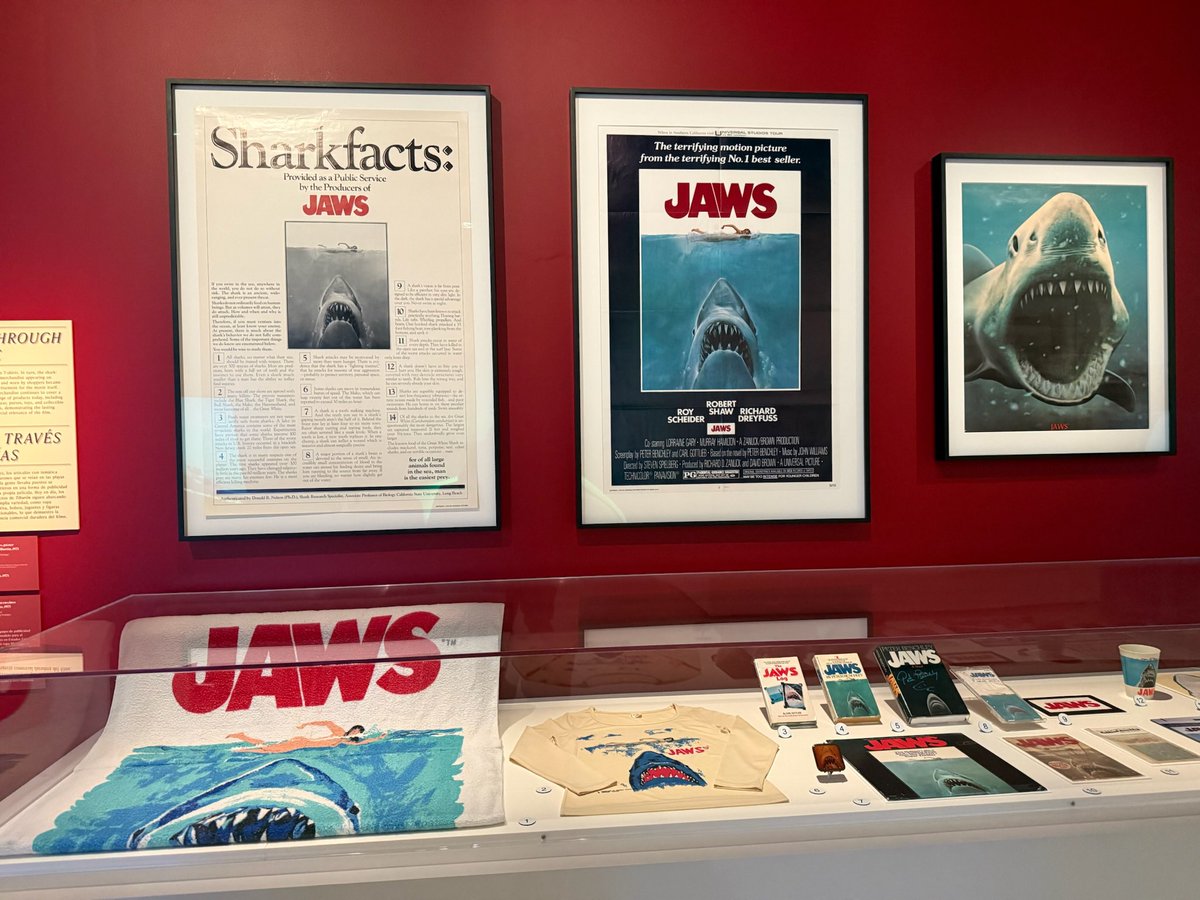 Academy Museum of Motion Picturesへ❣️今回はジョーズの特集が組まれていて、大好きな映画なのでめっちゃテンション上がりました👍👍👍

#kamatymoon 
#mitsujikamata 
#ジョーズ