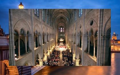 SoloMids's tweet image. 👱Adoptions happen, homes found. Forever.🗓Raindrop on hand