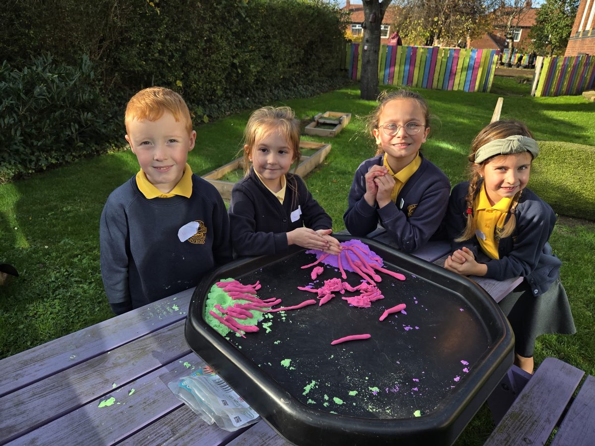 Bill Quay Primary tweet media