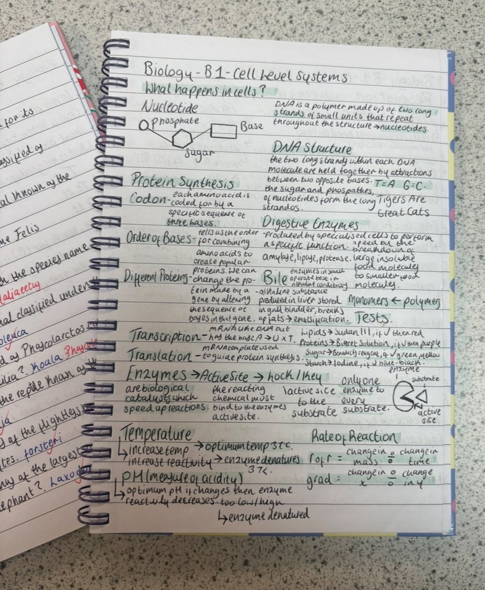 ScienceTAL's tweet photo. Some more revision inspiration for your last minute Biology Mock preparation. 
✨💜✨ https://t.co/eLXOh9WVr9