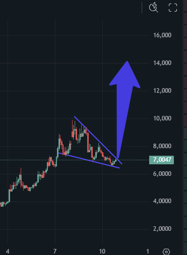 Eddi Bodnar ✝️🇪🇸 tweet media