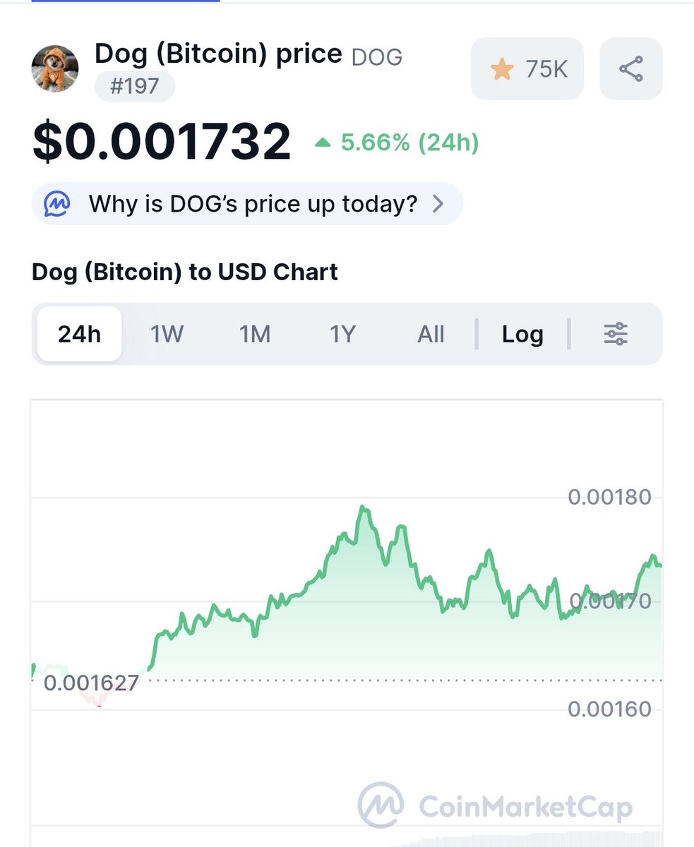 The most bullish thing today? 👀 $DOG &amp; The $DOG Army’s energy ! 🚀