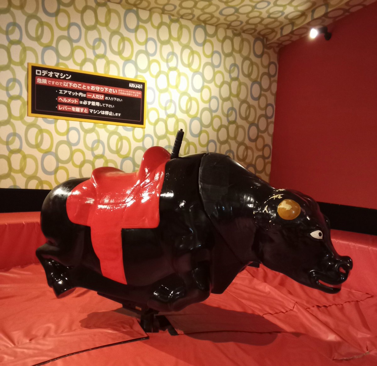 牛の乗り物 ラウンドワンスタジアム鹿児島宇宿店 on X