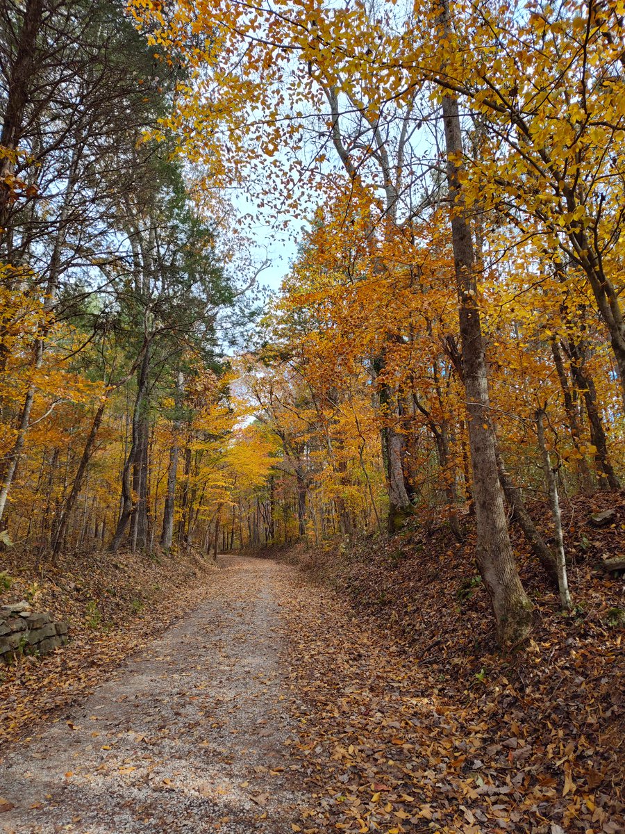 Had an interesting day on trails @ a beautiful local quarry 🍁#Fall #trails #leaves #quarry #trails #autumn 🍂