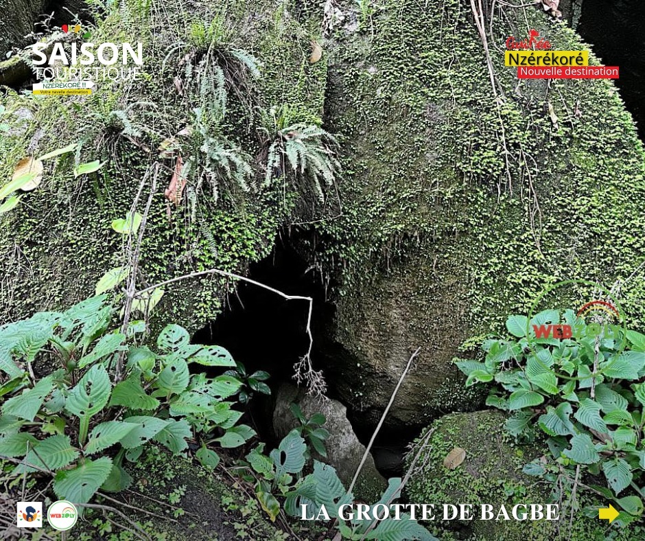 webzaly's tweet photo. Version courte (impactante)
🌿 Découvrez Kissidougou, porte d’entrée de la Guinée forestière !
Traditions, nature &amp; histoire vous y attendent avant Nzérékoré.
👉 Vivez l’expérience Kissidougou !
🔗 https://t.co/CyRPmx9q3k
#TourismeGuinée #Kissidougou https://t.co/WOf4BaZ8Pq