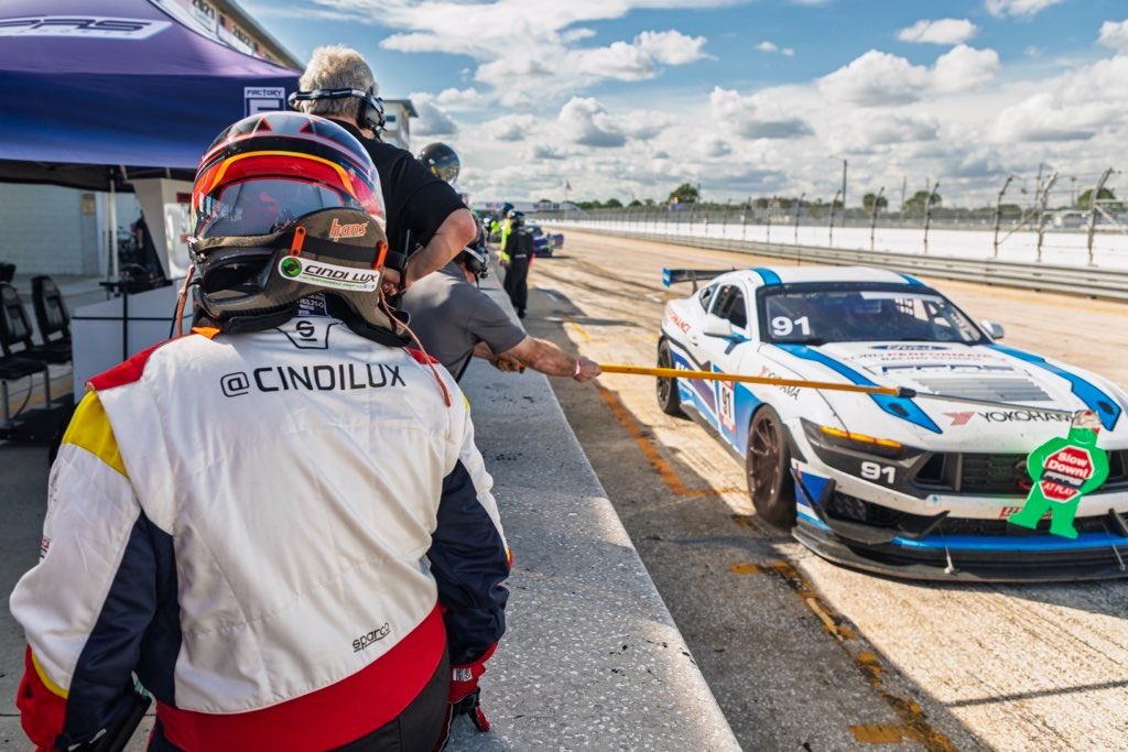 Cindi Lux tweet media