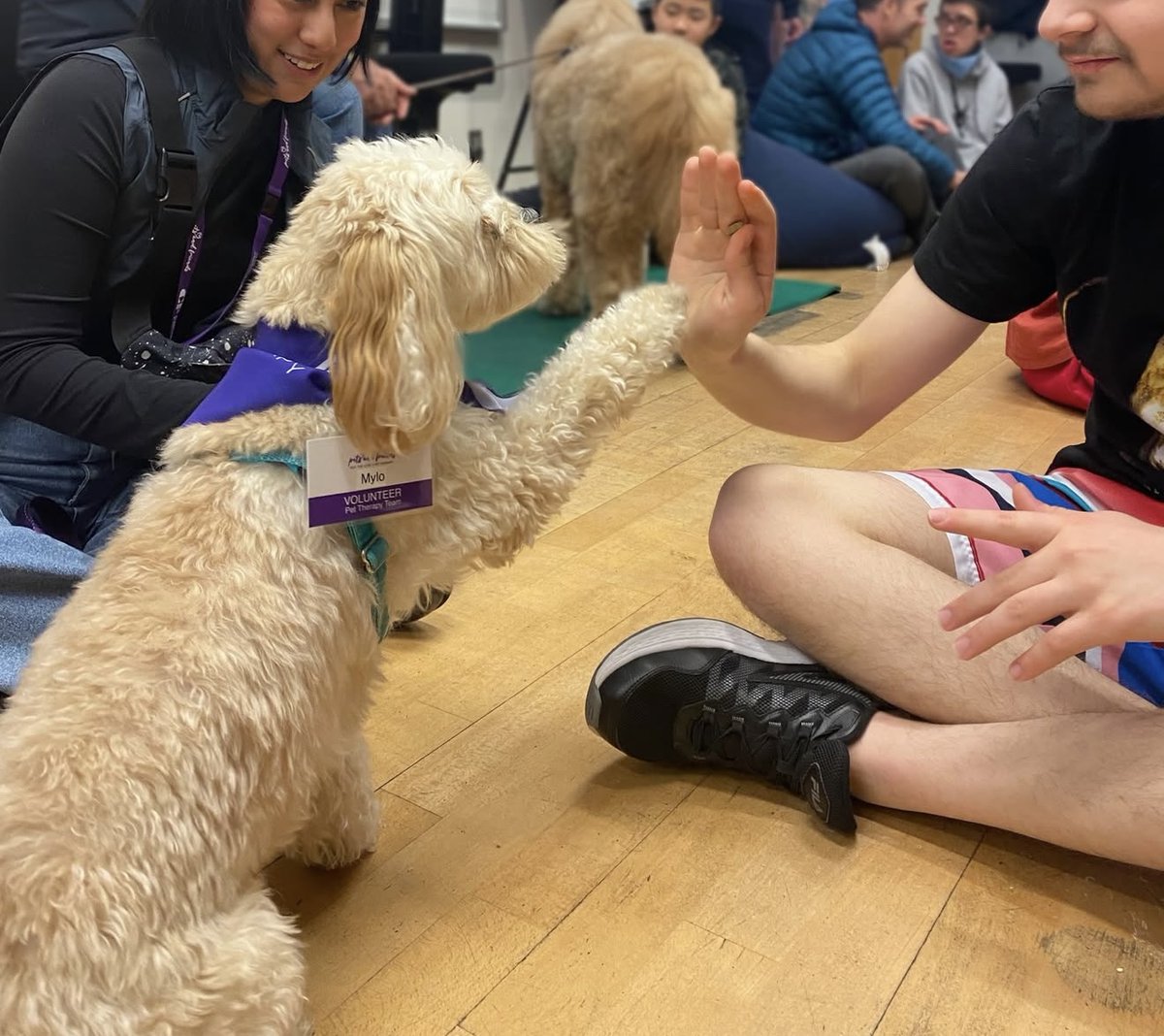 BCPetsFriends's tweet photo. In October, our therapy dogs and volunteers visited some friends in our autism community! 🐾 We loved connecting and spreading a little calm, comfort, and joy.  💜 

#PetTherapy #BCPetsandFriends #DogsofInstagram #TherapyDogs #VolunteerWithYourPet #petstagram #dogs https://t.co/2RV3zJDBnp