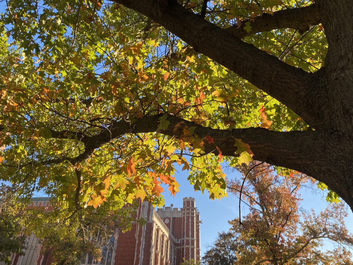 PalmeriJoAnn's tweet image. #FallColors on display today near Bizzell Memorial Library @UofOklahoma #OUskywatch #LibrariesFromTheOutside