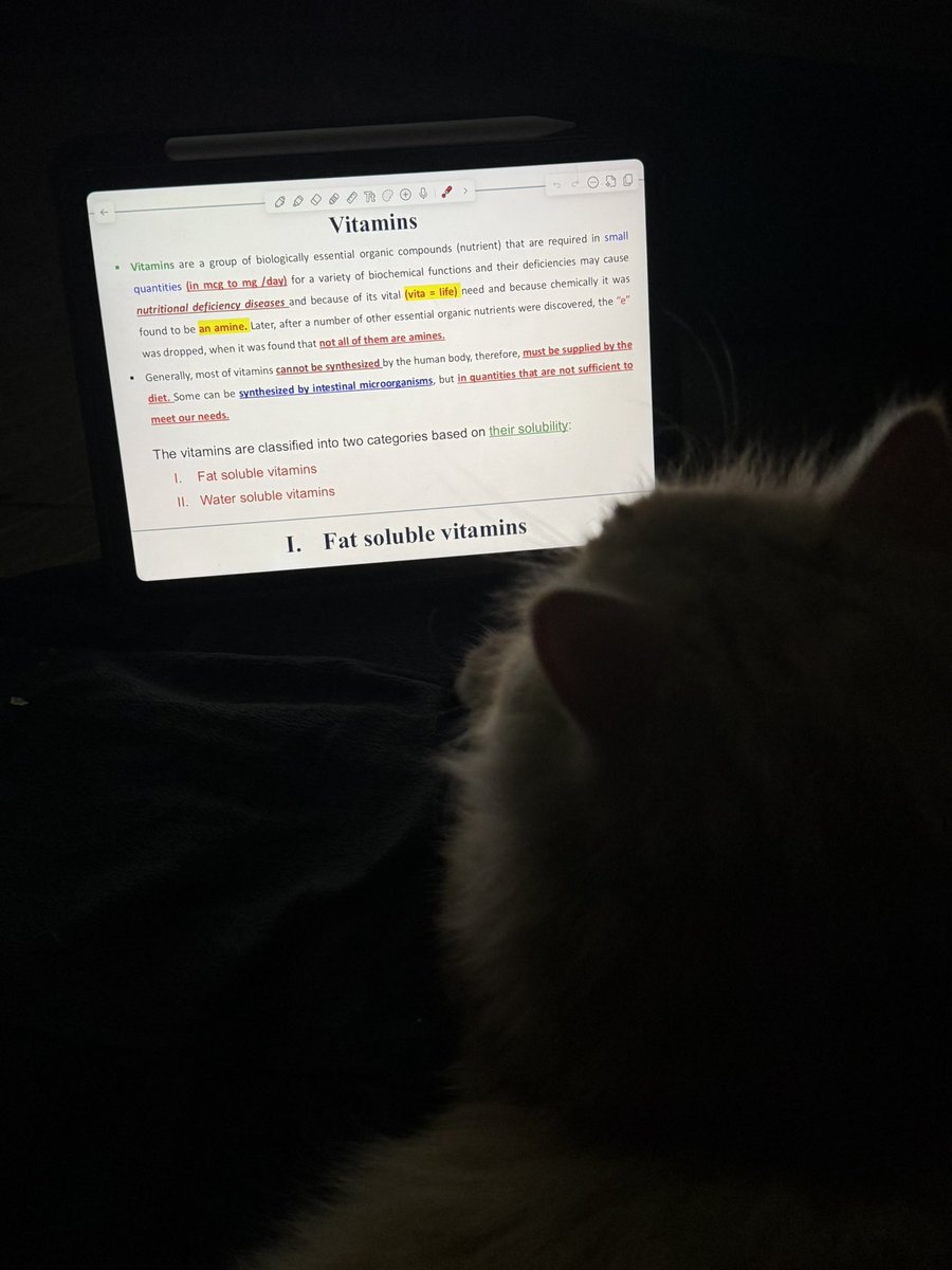 Manaradel619's tweet photo. Studying with Karim 🐈📚 https://t.co/r3S2le1gkz