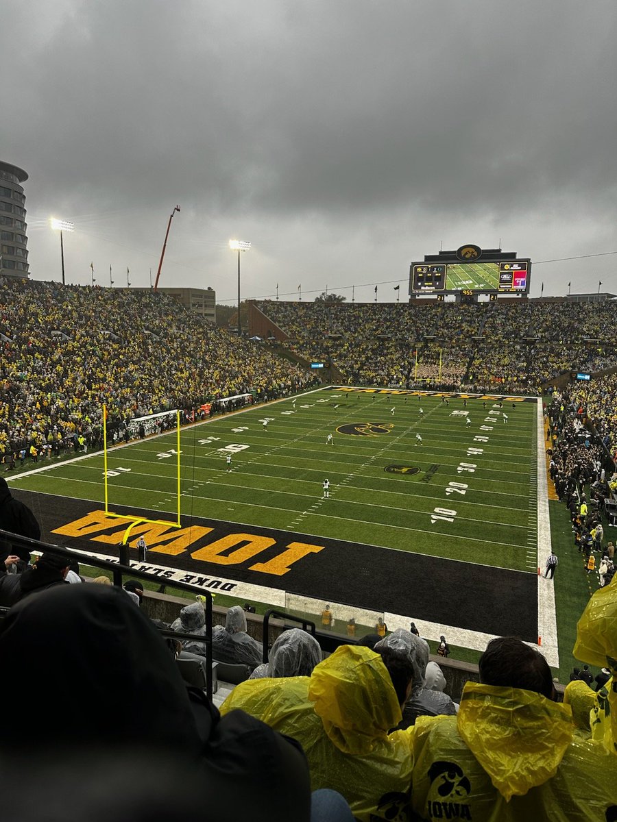 Hugo Chamberlain tweet media