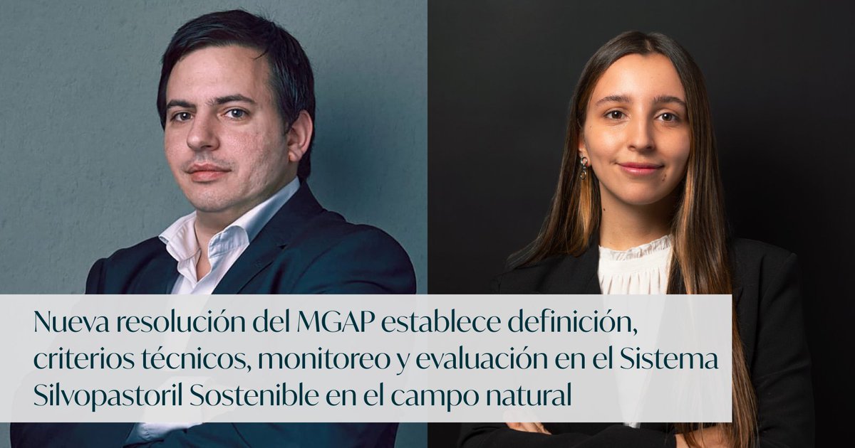 Guyer & Regules tweet media