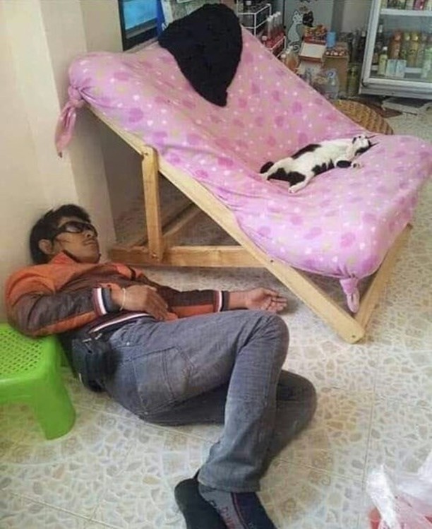 Punch Cat (@punchingcat) on Twitter photo 