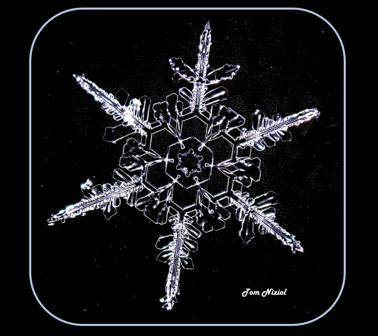 Ironically, I'm getting some of my best snow crystal photos ever in Tennessee in NOVEMBER!! Look at the hexagonal theme from the center right out to the edges of this beautiful crystal. #winter #NaturePhotography <a href="/weatherchannel/">The Weather Channel</a> <a href="/NWSMorristown/">NWS Morristown</a> <a href="/wjhl/">wjhl</a> <a href="/WCYB_DavidBoyd/">David Boyd</a>