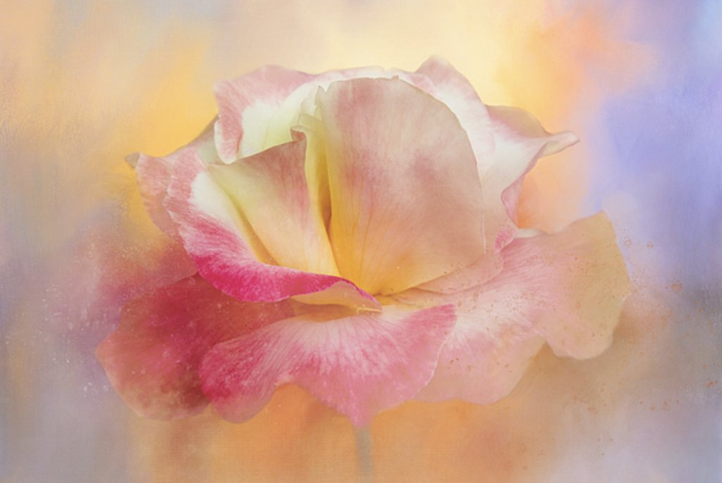 TerryIKON's tweet image. &quot;Sparkly Bloom&quot;   t.ly/fURIO