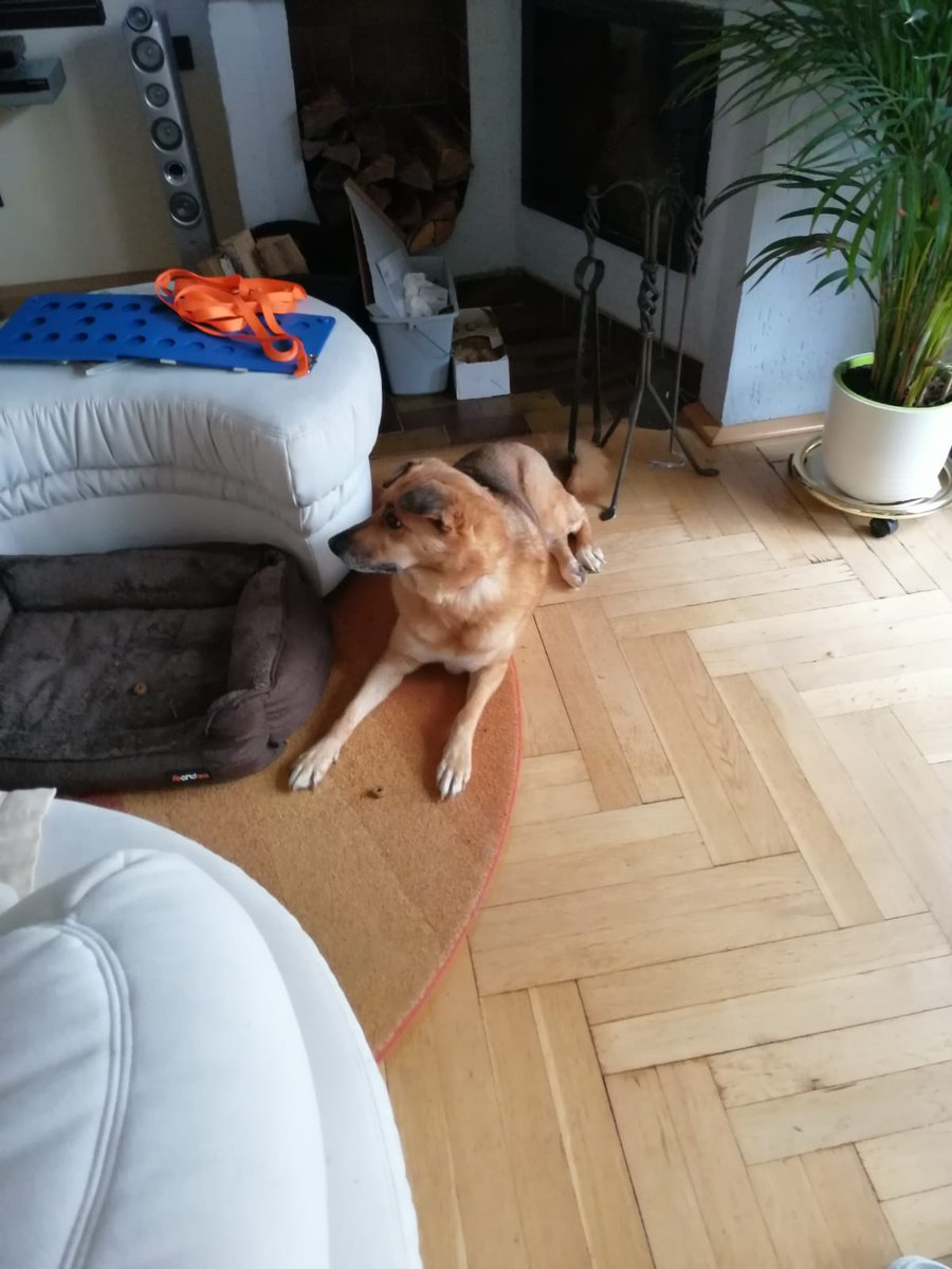 У Герды в Лейпциге не то что хорошо, там шикарно! 
(Да, конечная точка оказалась не Берлин)