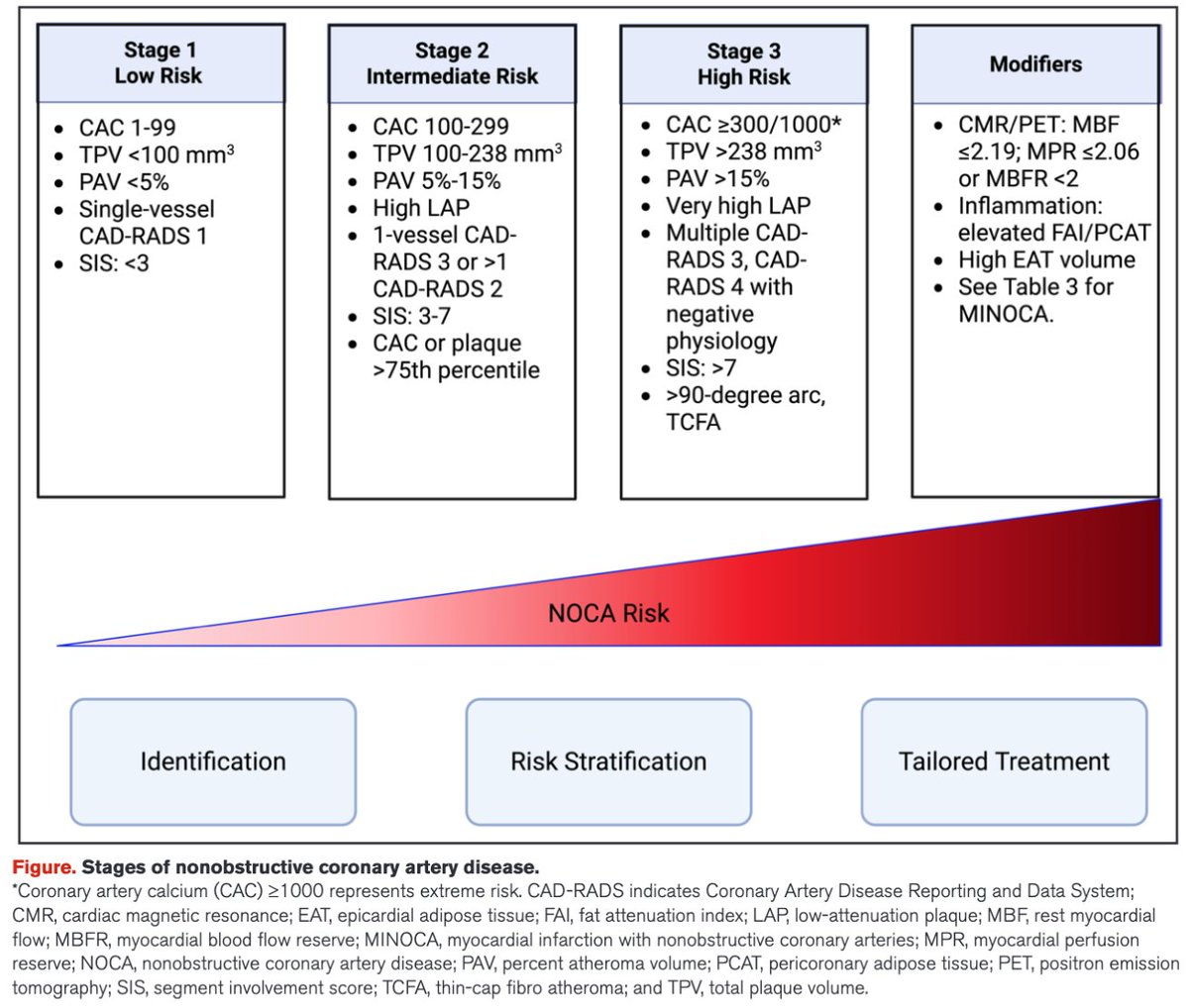 SeguraCardio's tweet image. 📌Evaluation &amp;amp; Medical Management of Nonobstructive Coronary Artery Disease in 👥 With Chest Pain

A Scientific 📝 From the @American_Heart 

#StateOfTheArt #Review #AHA #MINOCA #PositionPaper