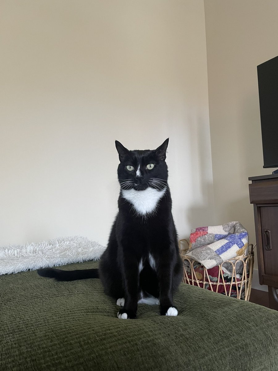 Kim Blanck tweet media