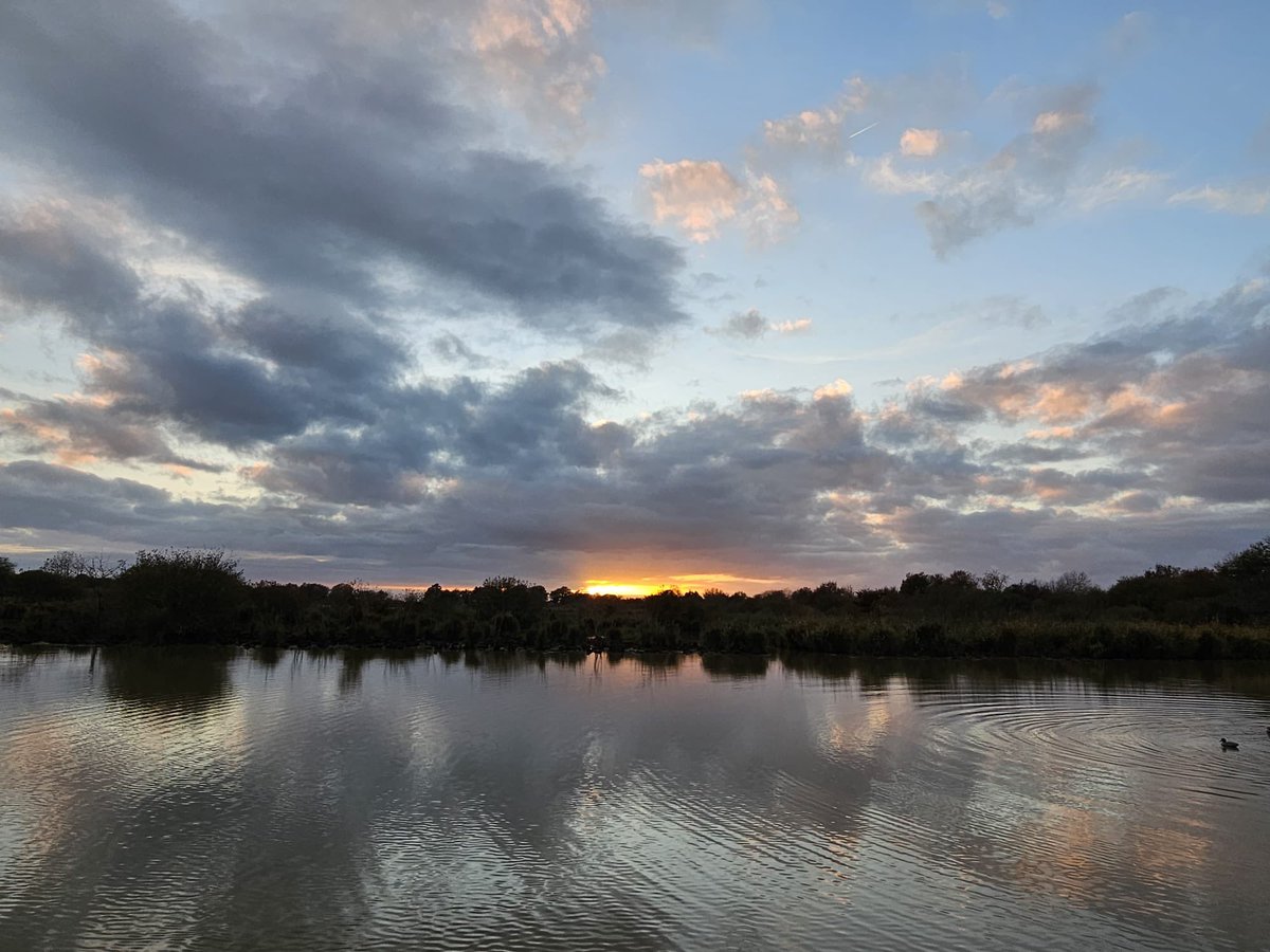 Promis je vous raconterai ma passion sauvagine étangs Brenne et pourquoi j’aime tant cette chasse .))) photo de mon poste ça fait rêver non ? #chassepartage #ilssachentnouschassons . Mais qu’on se le dise c’est ma préférence à moi . Je défendrai toute ma vie toutes les chasses ♥️