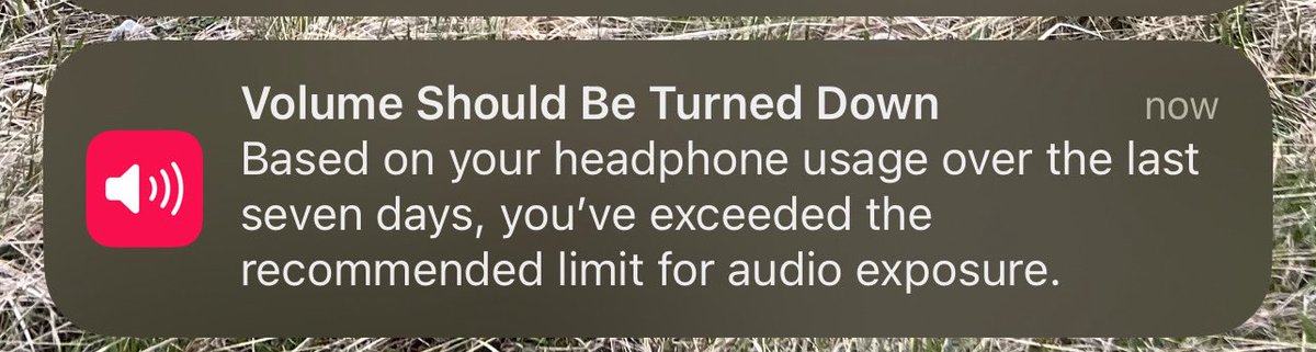 ההתראה האהובה עליי