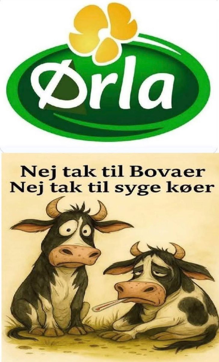 Connie Ringgaard (@missringgaard) on Twitter photo 