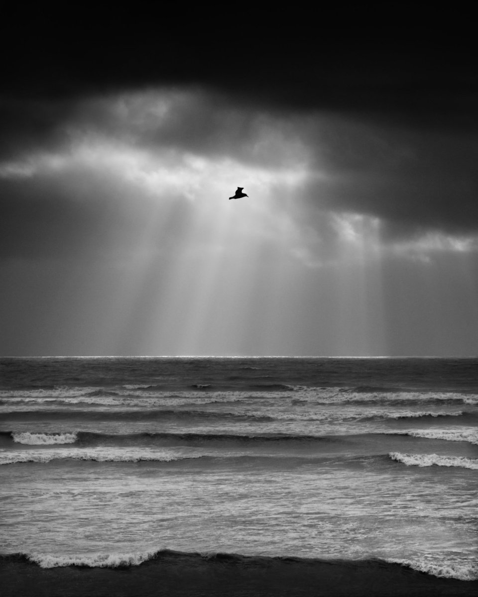 _michaelhartley's tweet image. &apos;The Journey&apos;