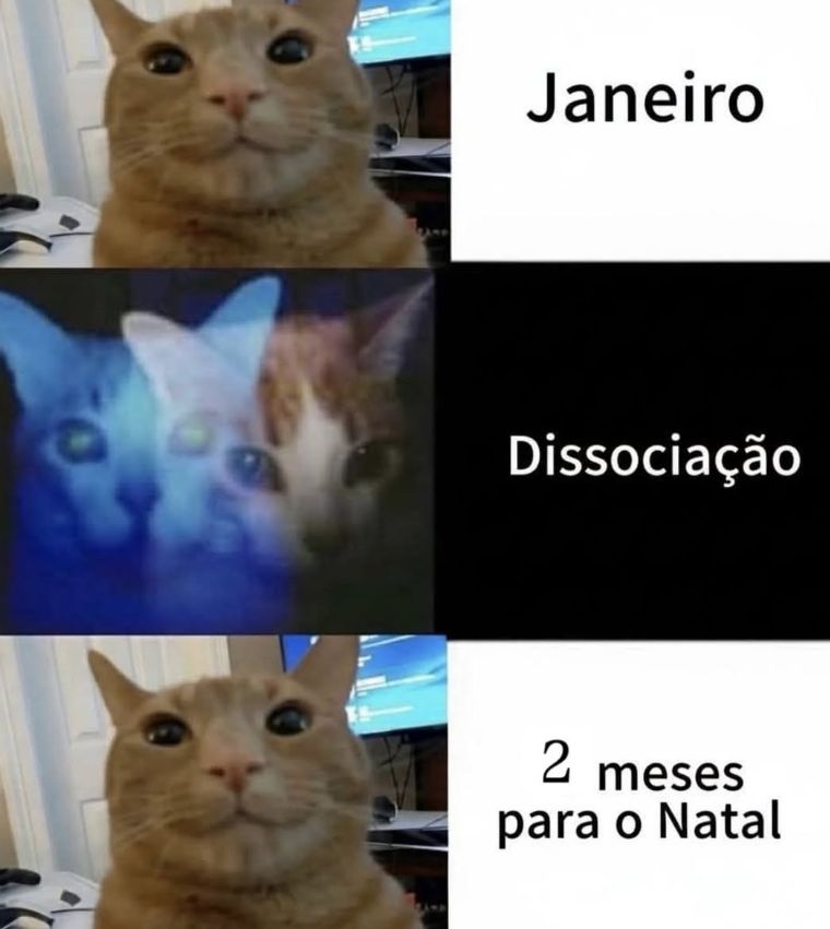 memes_horriveis's tweet photo. https://t.co/Yw7MBAaQcn