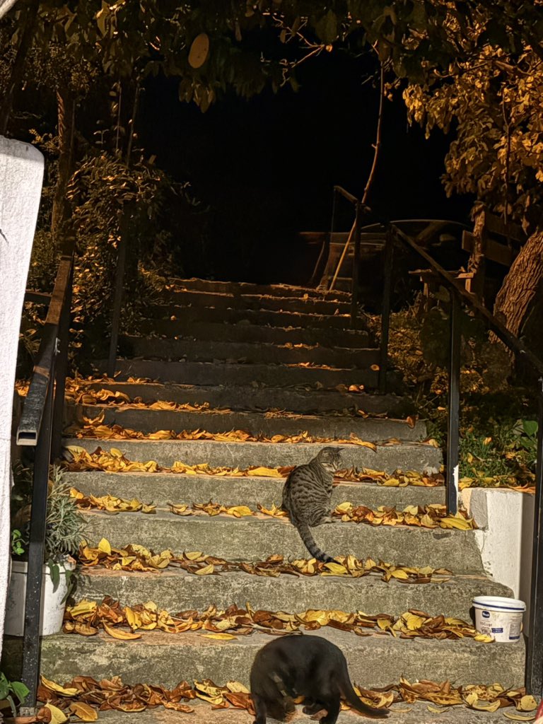 Gece resmi olarak başlamıştır. 
#izdiham