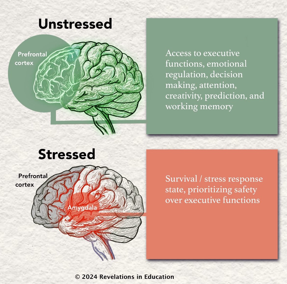 desautels_phd's tweet image. I have not posted this in a while! Schematic but provides the deepened understanding of how our brains and nervous systems go offline when we are continually confronted with chronic stress and adversity! #education #educators #mentalhealth #school #appliededucationalneuroscience