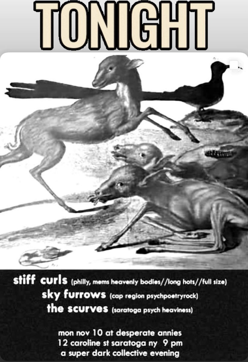 Tonight at <a href="/DesperateAnnies/">Desperate Annie's</a> we’re psyched to have Philly band Stiff Curls with the homies Sky Furrows and The Scurves for an excellent night of psych and experimental rock/ proto punk! Free, 9pm!