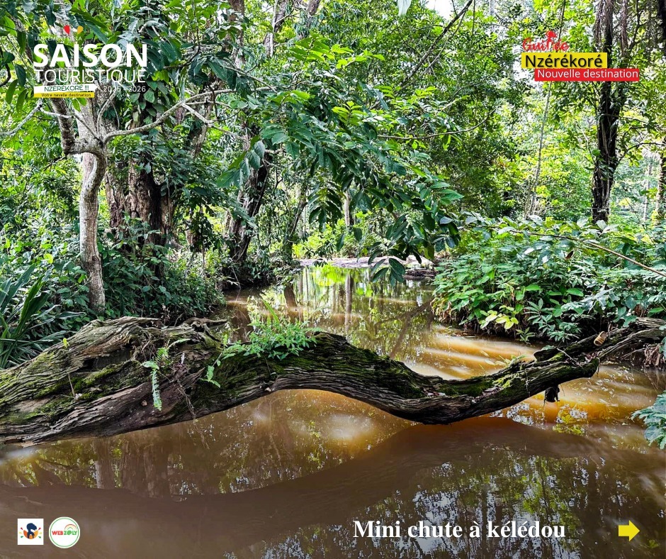 ZalyMerveille's tweet photo. Version courte (impactante)
🌿 Découvrez Kissidougou, porte d’entrée de la Guinée forestière !
Traditions, nature &amp; histoire vous y attendent avant Nzérékoré.
👉 Vivez l’expérience Kissidougou !
🔗 https://t.co/5tx2LEVPx0
#TourismeGuinée #Kissidougou https://t.co/zatwTnO984