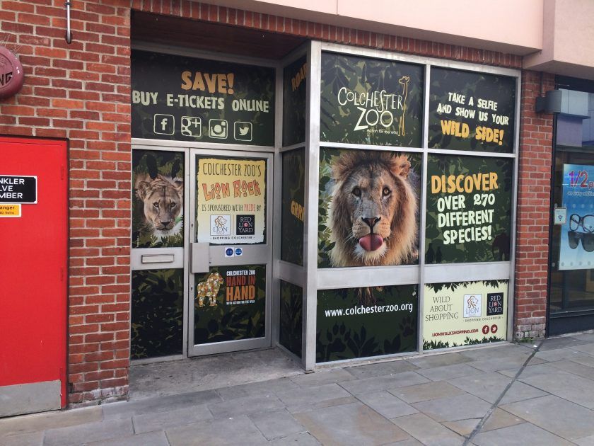 impact4signs's tweet image. Clear vinyl graphics are the perfect blend of subtlety and impact. Showcase your branding without obstructing natural light. im4s.uk/windowgraphics #ClearVinylGraphics #CustomSigns #CustomBranding