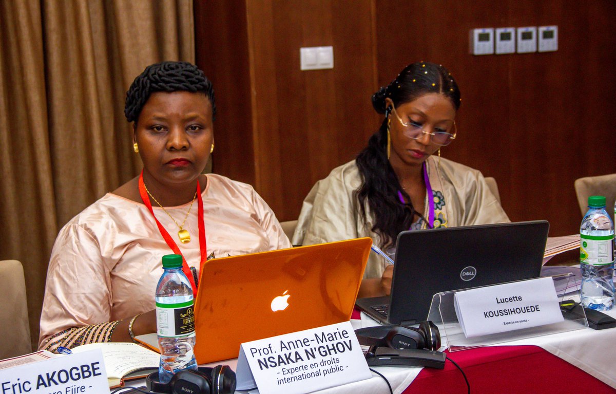 RfldOrg's tweet image. What makes RFLD stand out is not only its programmatic work but also its strategic position within the continent&apos;s human rights framework.
RFLD holds Observer Status at the African Commission on Human and Peoples’ Rights (ACHPR) and Member of the ACHPR Working Group on Human…