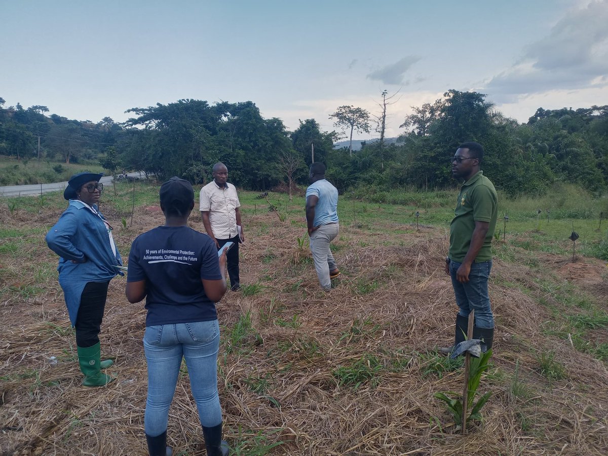 epa_koforidua's tweet photo. 10 Nov 2025: Day 1 of the GLRSSMP monitoring exercise in Kwahu East & South, led by EPA Deputy Director Madam Priscilla Arhin. Restoration efforts are progressing well.
#EPA #GLRSSMP #EnvironmentalProtection #Restoration #EasternRegion https://t.co/4hUcep8XXf