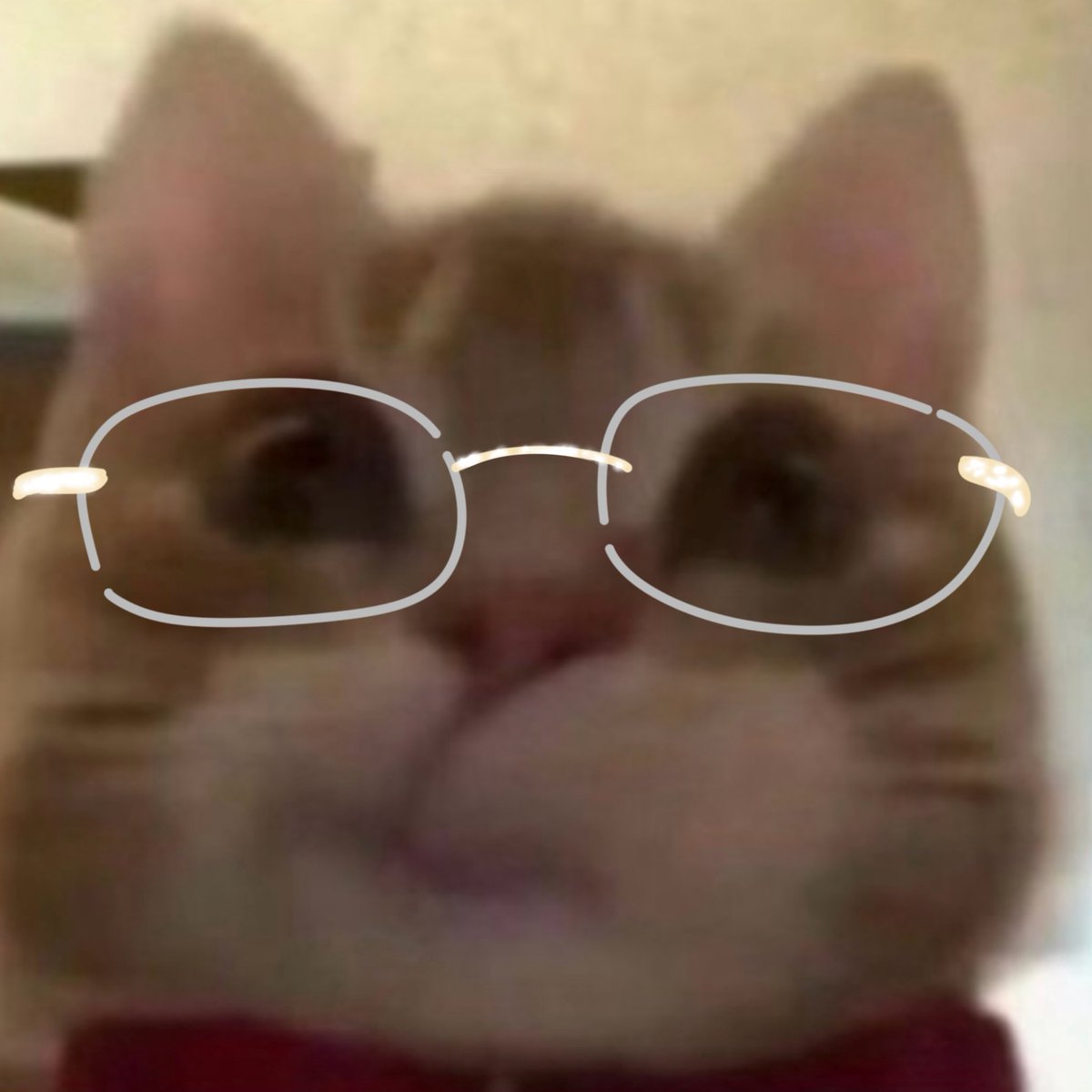 changoiting's tweet image. （O&amp;lt;O) 
@JacksonWang852 #JacksonWang