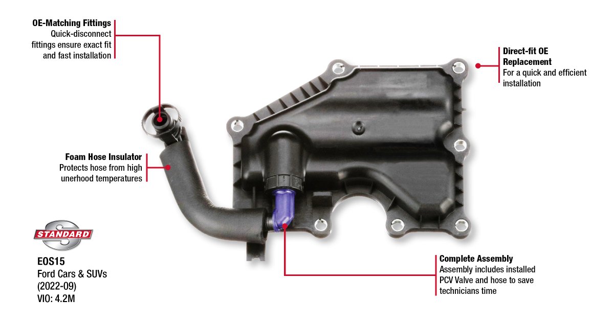 Standard tweet media