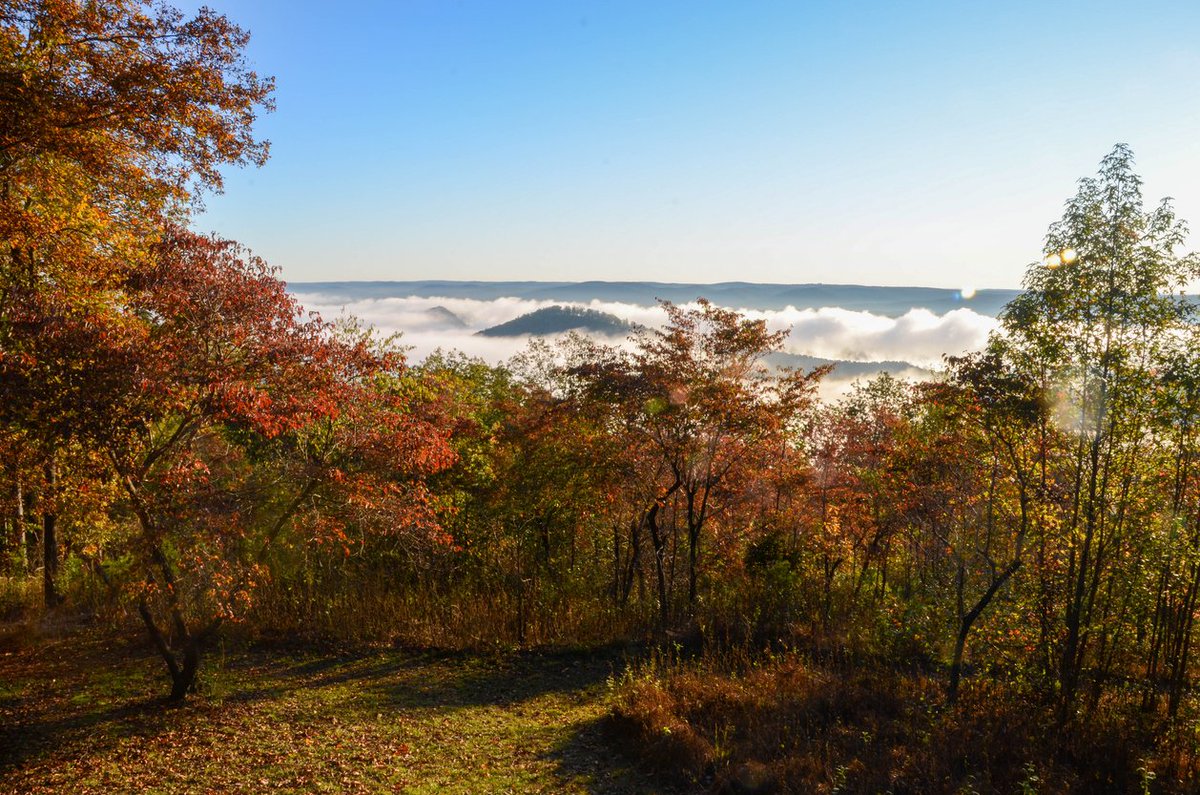 Three Rivers Land Trust tweet media
