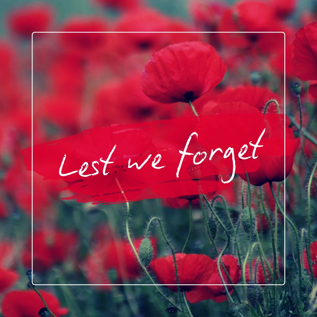 Peter Ward Homes tweet media