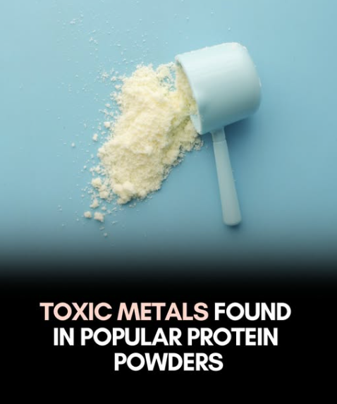 A scoop of protein powder could come with a dose of lead, arsenic, or other toxic metal.

While protein powders are marketed as an easy health boost—especially for older adults or those with low appetites—Harvard Health Publishing warns they may come with hidden risks.

A  report