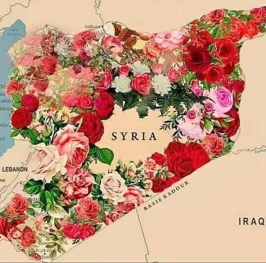Syrian Knight tweet media