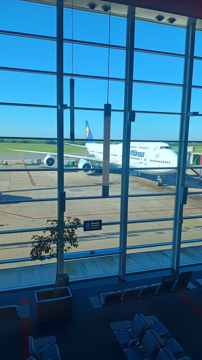 Gracias por el paseo, Su Majestad 👑