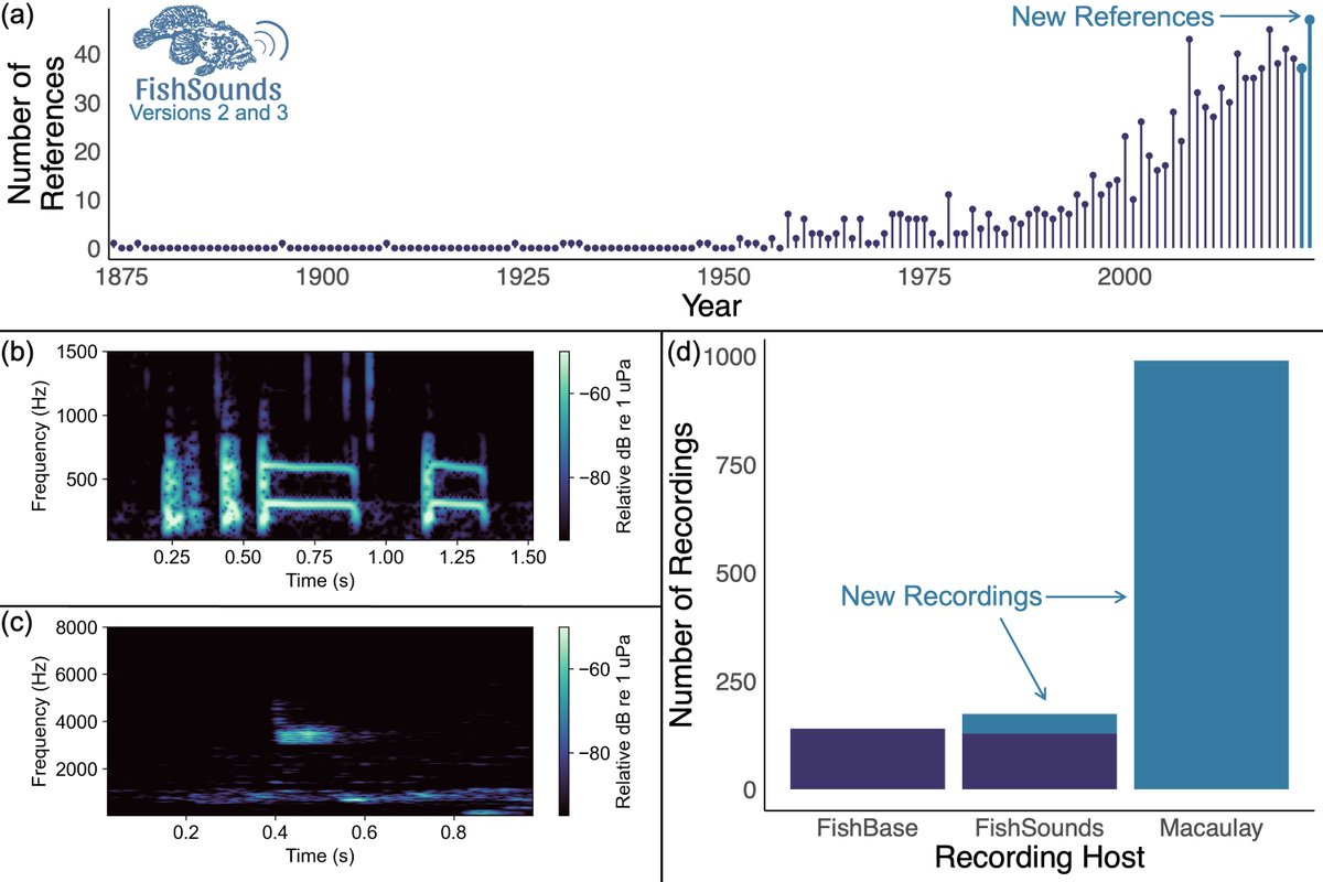 FishSounds tweet media