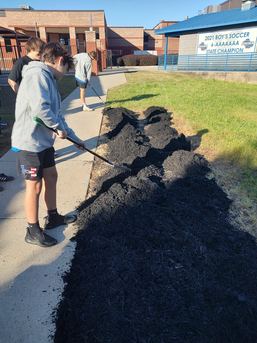 Our year 2 horticulture class sprucing up our daffodil beds in preparation for winter. They've been learning about the different types and uses for mulching including soil temperature &amp; moisture regulation as well as aesthetics.