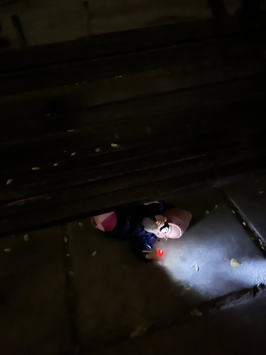 paniCutter's tweet image. Знайшла під лавочкою кошеня 🙃