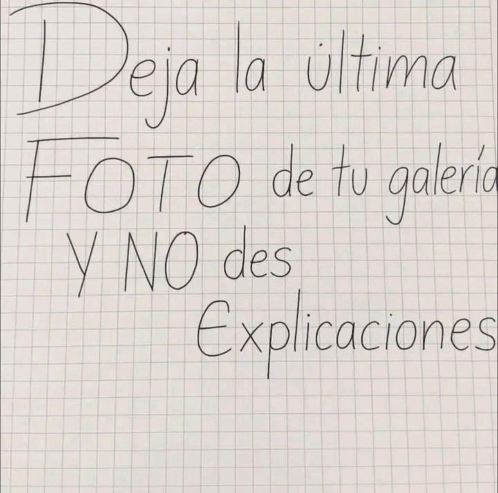 Mónica Saade tweet media