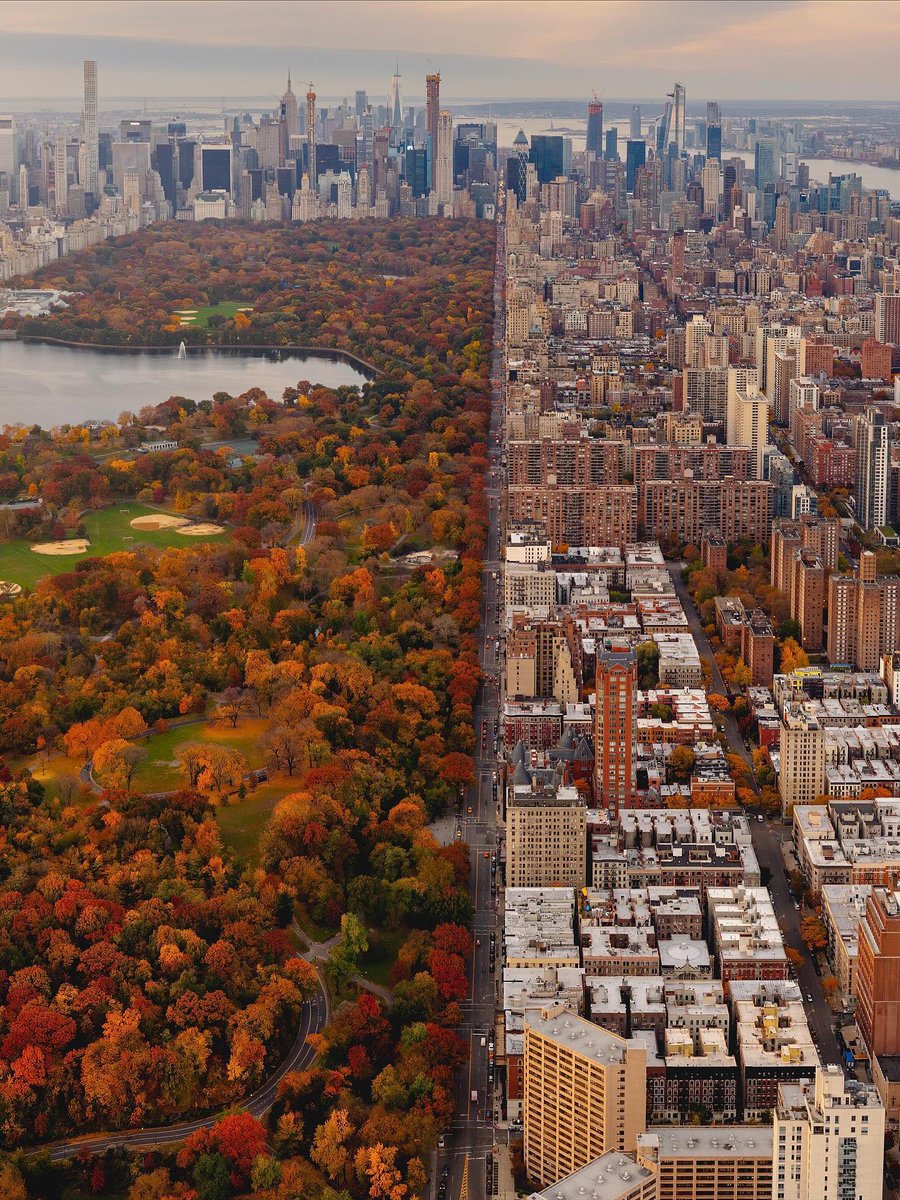 Pretty Cities tweet media