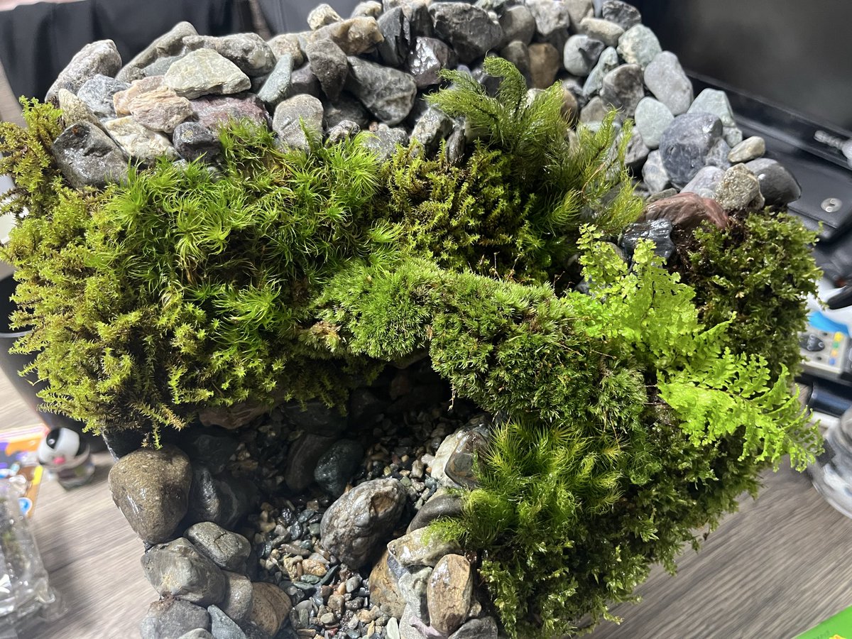 じゃすお tweet media